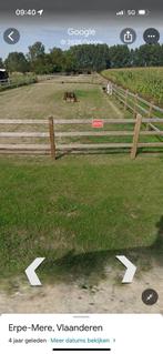 Weide met omheining, Dieren en Toebehoren, Stalling en Weidegang, Weidegang, 2 of 3 paarden of pony's