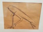 Tentoonstelling Beauvoorde hagedis, Ophalen