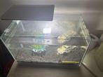 Aquarium +- 60L, Dieren en Toebehoren, Ophalen, Gebruikt