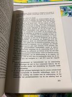 autoriteit en democratie, arbeiderszelfbestuur in rijke en a, Boeken, Maatschappij en Samenleving, Zo goed als nieuw, Rob Boonzajer flaes