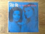 single sha-na, Cd's en Dvd's, Ophalen of Verzenden, 7 inch, Nederlandstalig, Single