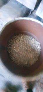 Pierres (demi-tonneau), Maison & Meubles, Enlèvement