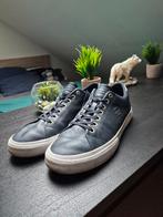 Basket Tommy Hilfiger, Tommy Hilfiger, Enlèvement, Porté, Bleu