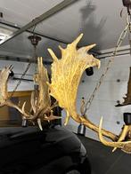 Grote gewei lusters ( zeer mooie in koppel boven een tafel), Antiek en Kunst, Ophalen of Verzenden