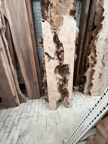 Unieke boolplanken boomstamplanken geschikt voor epoxy werk beschikbaar voor biedingen