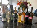 25 bouteilles de vin, vin et frais de port, Collections, Comme neuf, Champagne, Enlèvement ou Envoi
