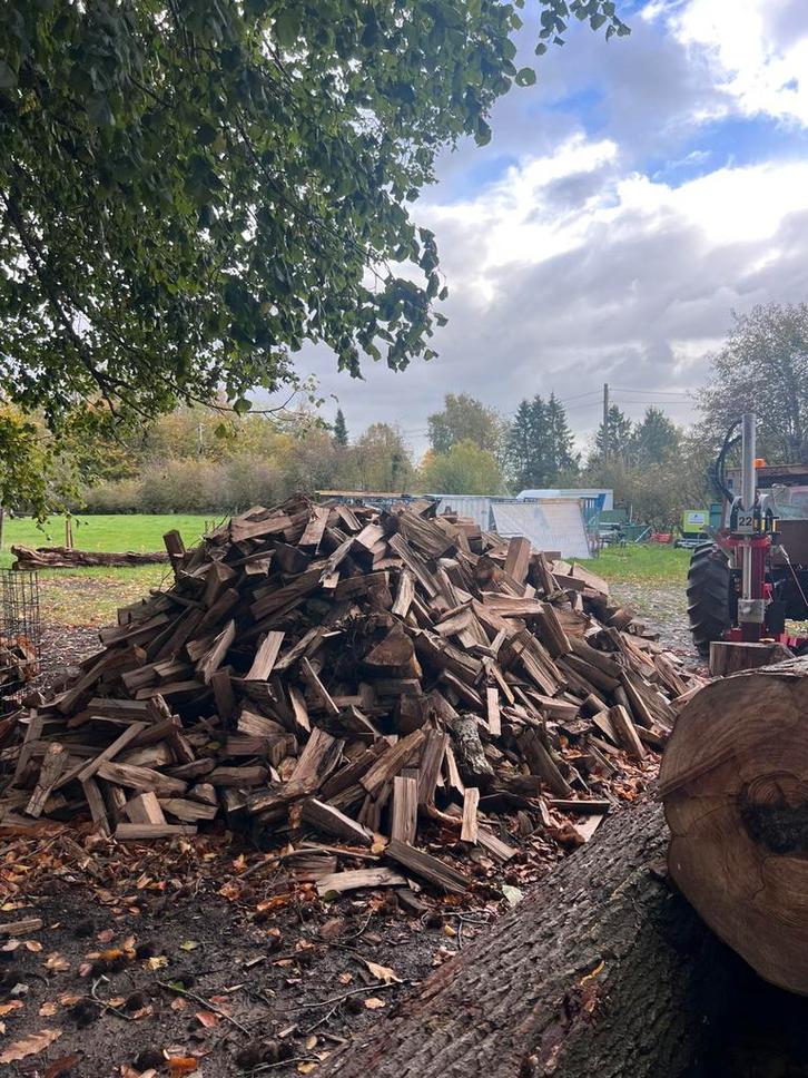 Brandhout, Tuin en Terras, Brandhout, Blokken, Beukenhout, Ophalen