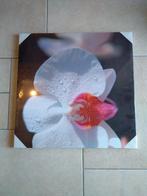 foto orchidee op doek - NIEUW, Antiek en Kunst, Ophalen of Verzenden