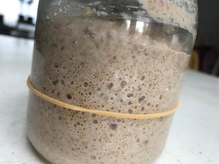 Zuurdesem - 100 gram, Divers, Produits alimentaires, Enlèvement