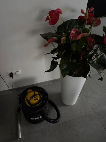 Aszuiger PowerPlus beschikbaar voor biedingen
