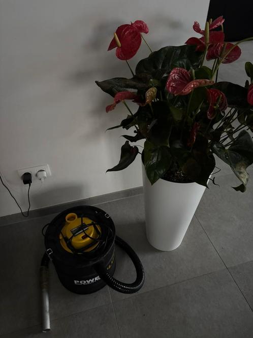 Aszuiger PowerPlus, Elektronische apparatuur, Stofzuigers, Gebruikt, Stofzuiger, 1600 tot 2000 watt, Reservoir, Ophalen of Verzenden