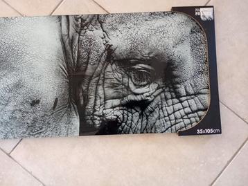 Kader in glas olifant  beschikbaar voor biedingen