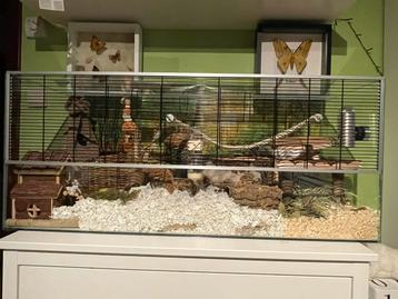 Cage/cage pour hamsters/souris/gerbilles, Enlèvement, Comme neuf, Niche