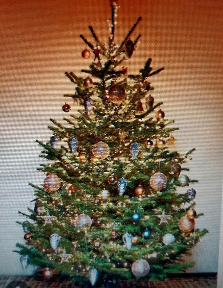 Kerstboom kunststof, Diversen, Kerst, Zo goed als nieuw, Ophalen