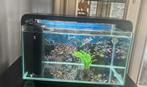 Aqarium 30liter, Dieren en Toebehoren, Ophalen, Zo goed als nieuw, Leeg aquarium