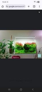 Uns aquarium, Enlèvement, Neuf, Aquarium vide