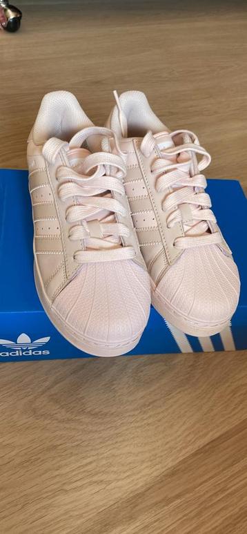 Superstar sneakers nieuw 37 beschikbaar voor biedingen