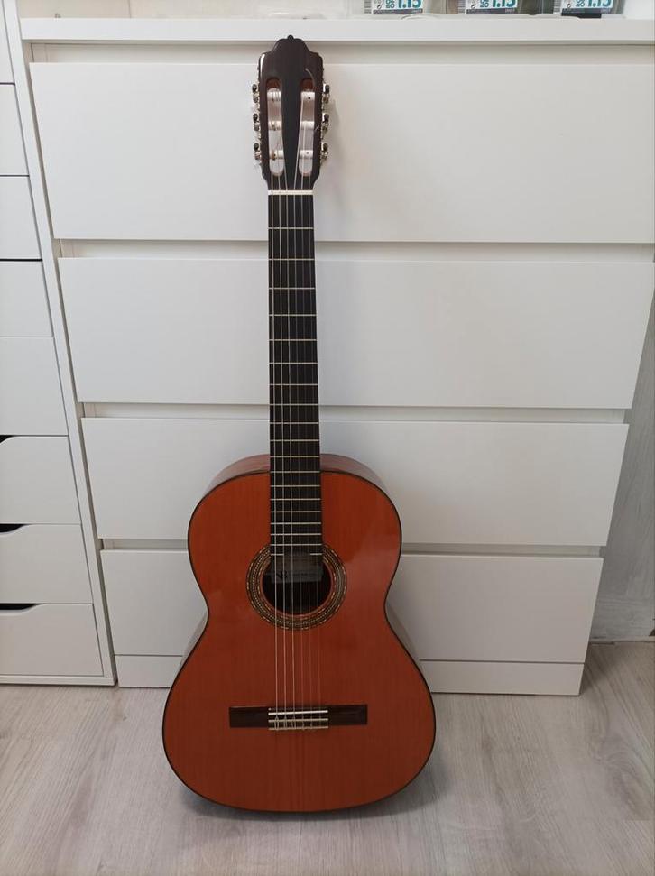 Akoestische gitaar met draagtas, voetsteun en toestelletje o, Muziek en Instrumenten, Snaarinstrumenten | Gitaren | Akoestisch