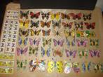 KINDER Lot de Séries de Papillons Divers 1990's - 2000's, Ophalen of Verzenden, Zo goed als nieuw, Overige typen