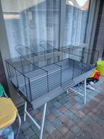 Kooi, Dieren en Toebehoren, Vogels | Hokken en Kooien, Ophalen of Verzenden, Zo goed als nieuw, Overige typen