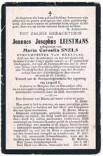 Bp. Leestmans Joannes. ° Merksplas 1854 † Merksplas 1911, Verzamelen, Bidprentjes en Rouwkaarten, Ophalen of Verzenden, Bidprentje
