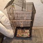 vogelkooi regio beernem, Dieren en Toebehoren, Ophalen of Verzenden, Zo goed als nieuw, Metaal, Vogelkooi