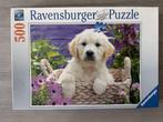 Puzzel hond Ravensburger 500st (nr1699a), Hobby en Vrije tijd, Ophalen of Verzenden, 500 t/m 1500 stukjes, Gebruikt, Legpuzzel