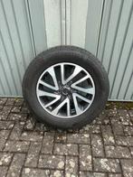 Te koop velg nissan navara, Ophalen, Gebruikt, Zomerbanden, Banden en Velgen