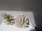 Vintage set wit koraal 22 en 14 cm, Ophalen of Verzenden