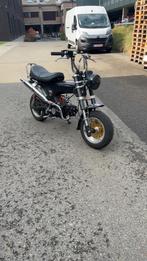 Dax b klasse 50 cc, Fietsen en Brommers, Ophalen, Honda, Zo goed als nieuw, 50 cc