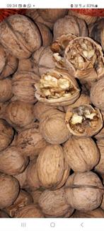 Verse okkernoten / walnoten 2025, Diversen, Levensmiddelen, Ophalen of Verzenden