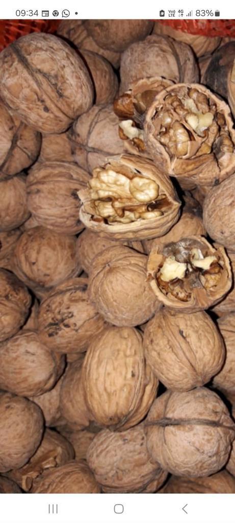 Verse okkernoten / walnoten 2025, Diversen, Levensmiddelen, Ophalen of Verzenden