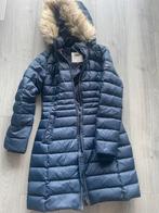 Jas Tommy Hilfiger, Kleding | Dames, Jassen | Winter, Ophalen of Verzenden