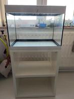 Aquarium, Dieren en Toebehoren, Ophalen, Gebruikt, Leeg aquarium