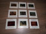 Lot 9 slides LUTTI Walt Disney „Mowgli”, Verzamelen, Ophalen of Verzenden
