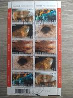 België obp F3170/78 gestempeld, Ophalen of Verzenden, Gestempeld, 1e dag stempel, Gestempeld