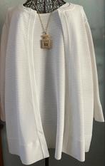 Mayerline 3L (50/52) Superbe set van 2 stuks, Kleding | Dames, Grote Maten, Mayerline, Overige typen, Wit, Nieuw