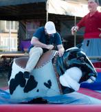 rodeo stieren, Hobby en Vrije tijd, Overige Hobby en Vrije tijd, Verzenden