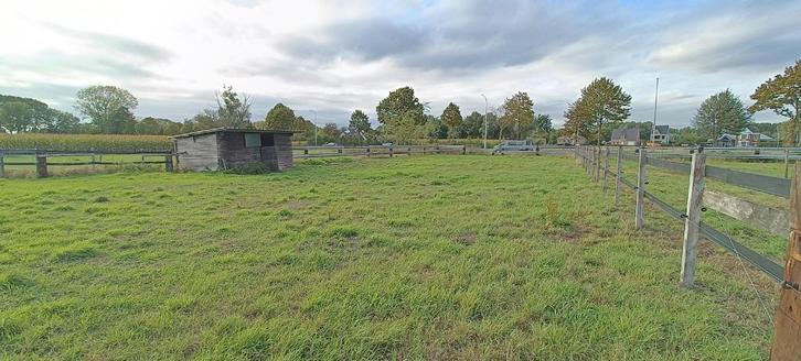 weide te lokeren, Dieren en Toebehoren, Stalling en Weidegang, Stalling, Weidegang