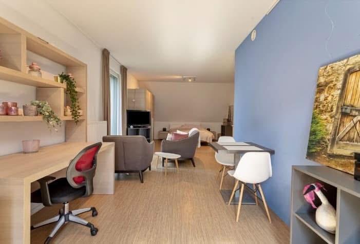Studio étudiant spacieux à Bruges (B101), Immo, Maisons à vendre, Bruges, Chambre (d'étudiants), Ventes sans courtier, B