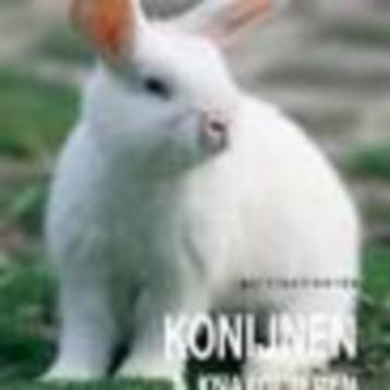 Geïllustreerde konijn en knaagdieren encyclopedie Verhoef