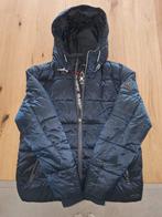 Gaastra winterjas medium, Kleding | Heren, Ophalen, Gaastra, Zo goed als nieuw, Maat 48/50 (M)