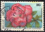 Belgie 1995 - Yvert/OBP 2590 - Gentse Floralien IX (ST), Verzenden, Gestempeld, Gestempeld