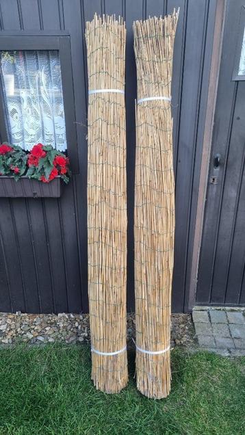 Tuinscherm Riet 180x600, Tuin en Terras, Ophalen, Overige materialen, Nieuw, 200 cm of meer