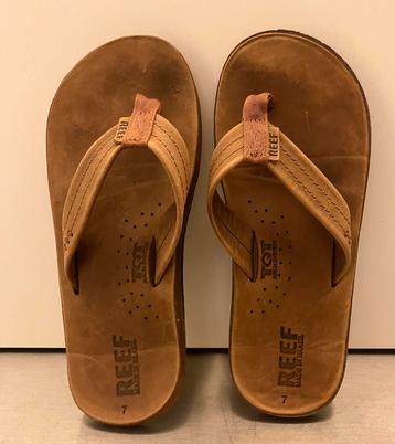 Slipper Reef Draftsmen brons bruin beschikbaar voor biedingen