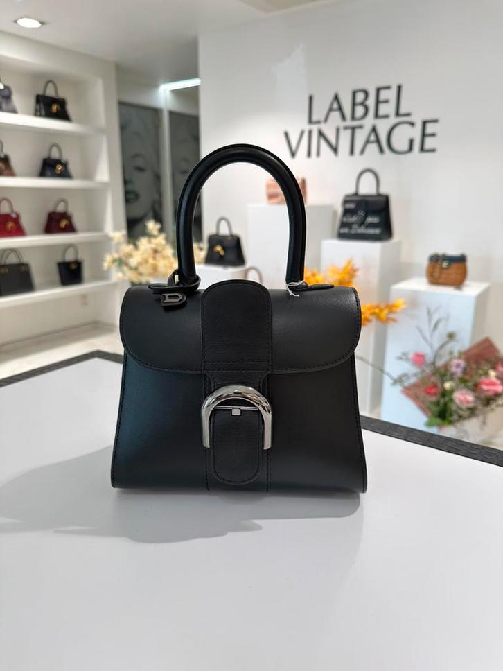 Delvaux Brillant mini in box leder, Bijoux, Sacs & Beauté, Sacs | Sacs Femme, Comme neuf, Enlèvement