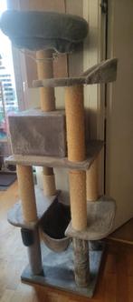 Arbre à chat, Enlèvement, Utilisé, Griffoir
