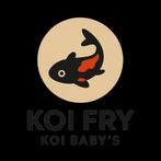 Koi Fry / Koi Baby's / Albino Graskarpers, Dieren en Toebehoren, Vissen | Vijvervissen, Karper of Koi