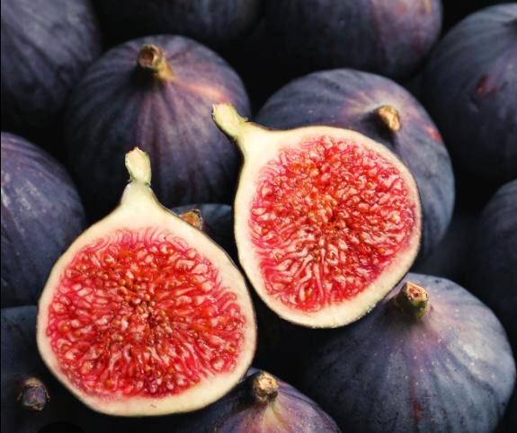 Stekken van verschillende vijgenrassen, Jardin & Terrasse, Plantes | Arbres fruitiers, Enlèvement