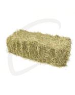 Mooie kleine botten hooi te koop.(eerste snede 2025), Dieren en Toebehoren, Ophalen, Vee